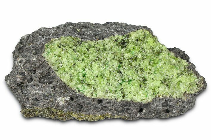 Peridot Crystals in Basalt - Arizona #369526